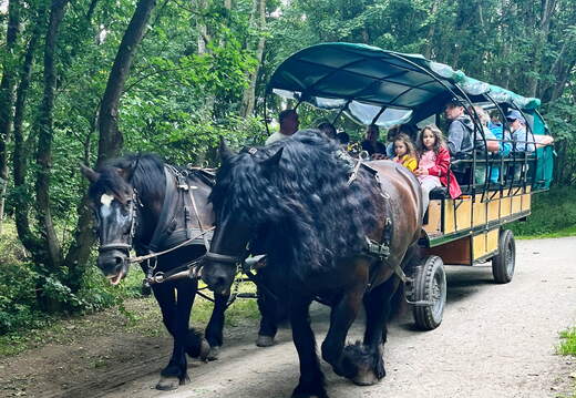 24-07-01 14-03-14 0074